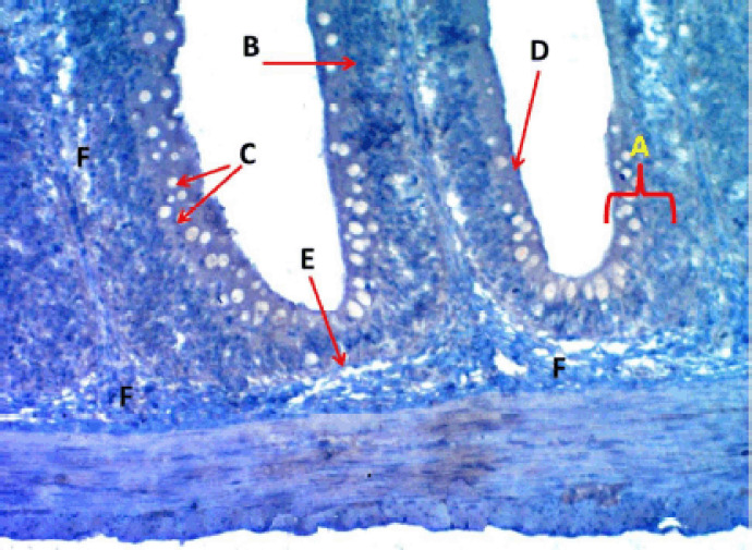 Figure 7.