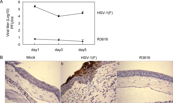 FIG. 8.