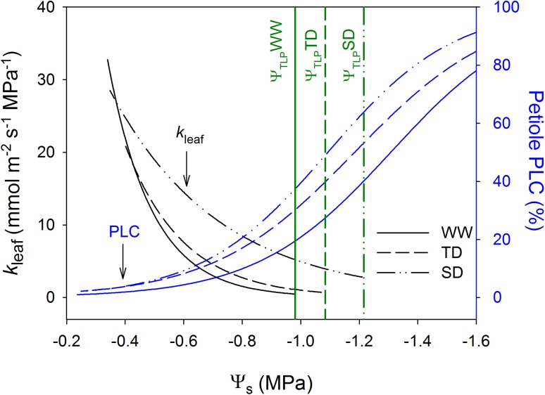 Fig. 7