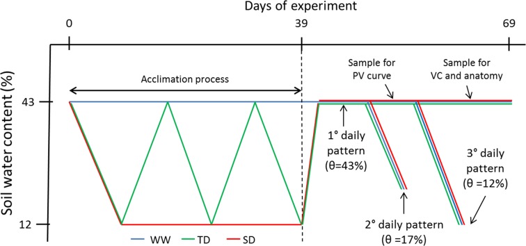 Fig. 1