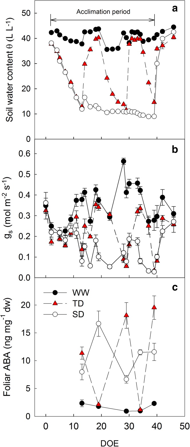 Fig. 2