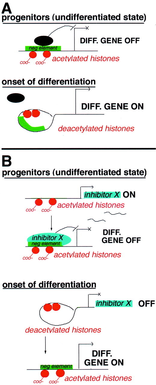 Fig. 11.