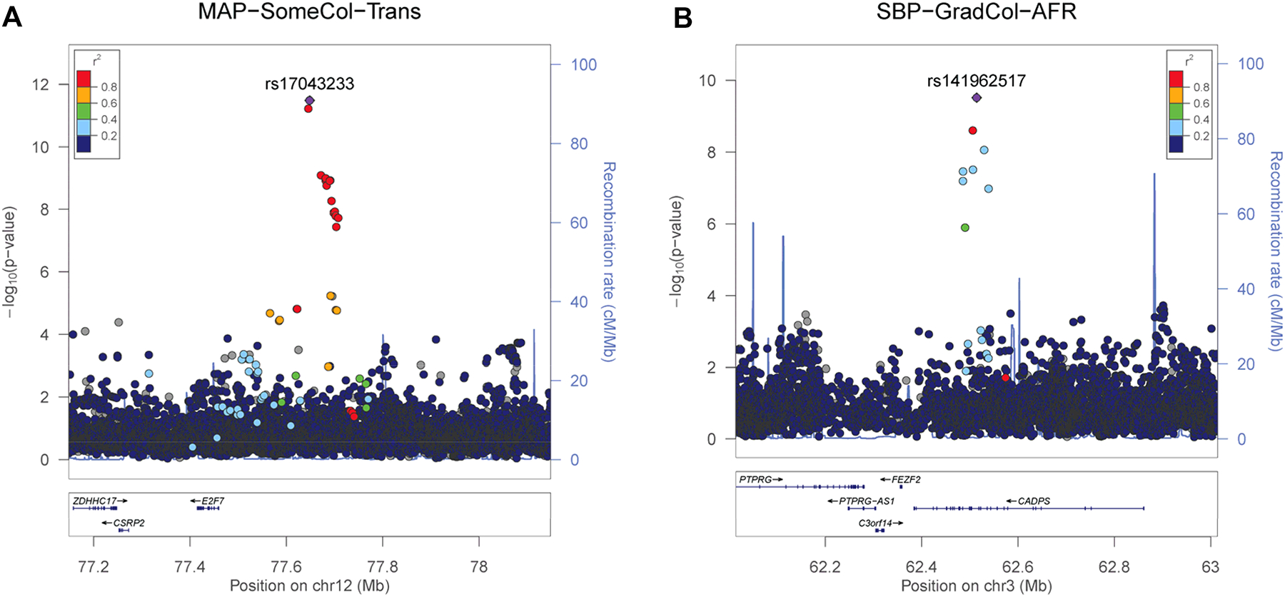 Figure 2: