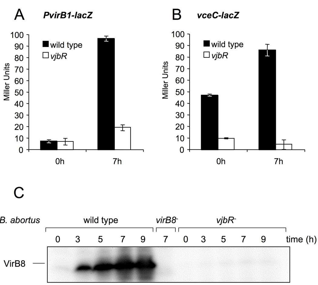 Figure 13