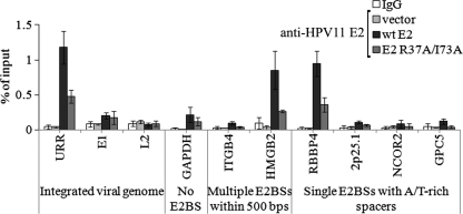 Fig 5