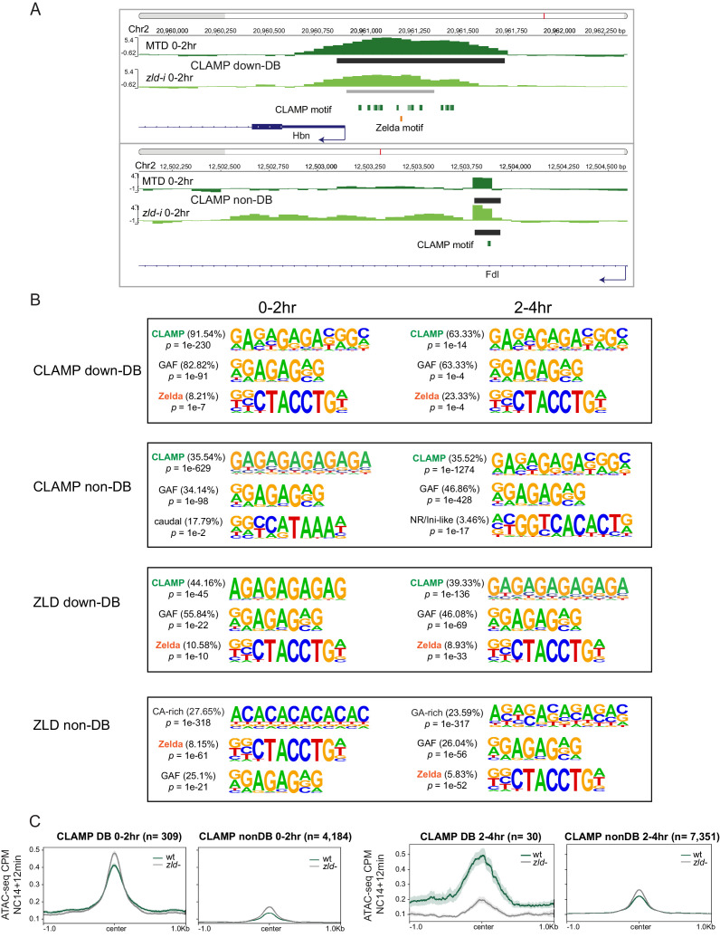 Figure 3—figure supplement 2.