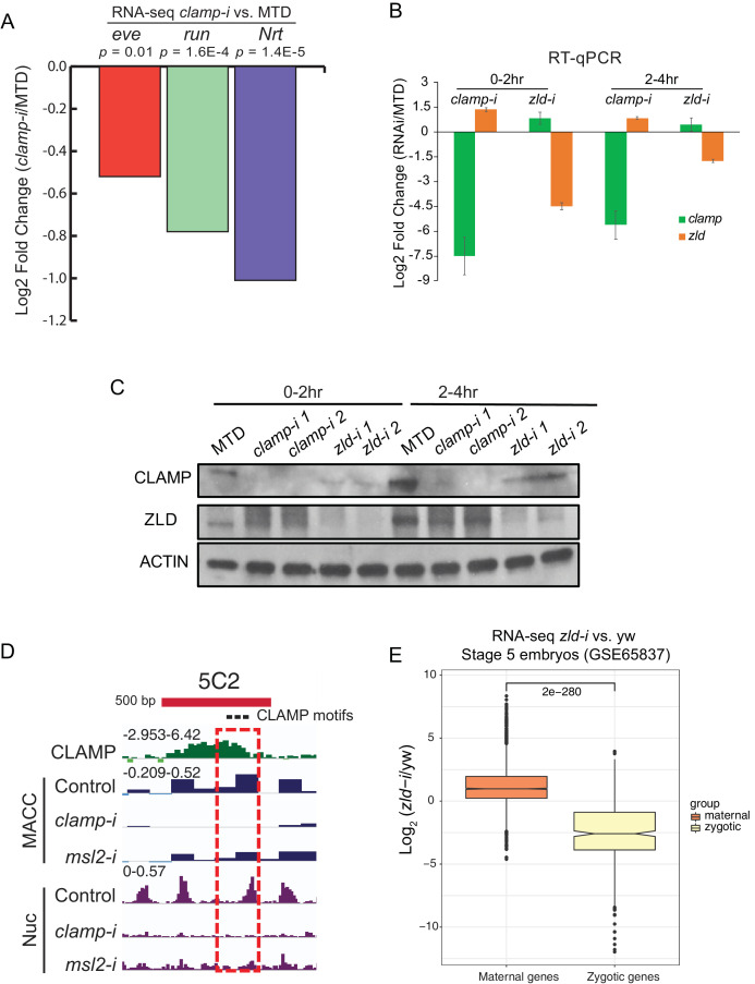 Figure 1—figure supplement 1.