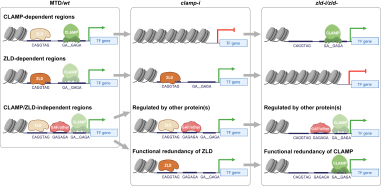 Figure 6.