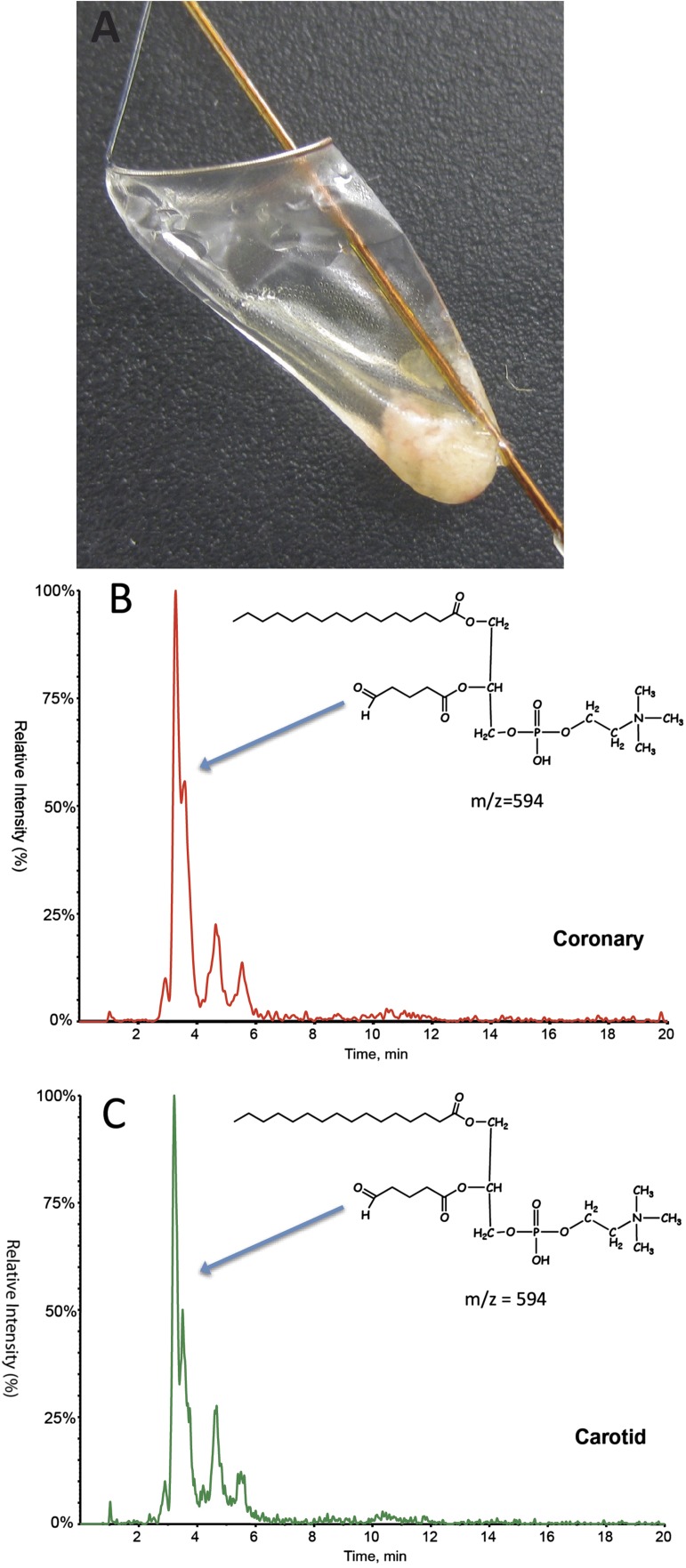 Fig. 9.