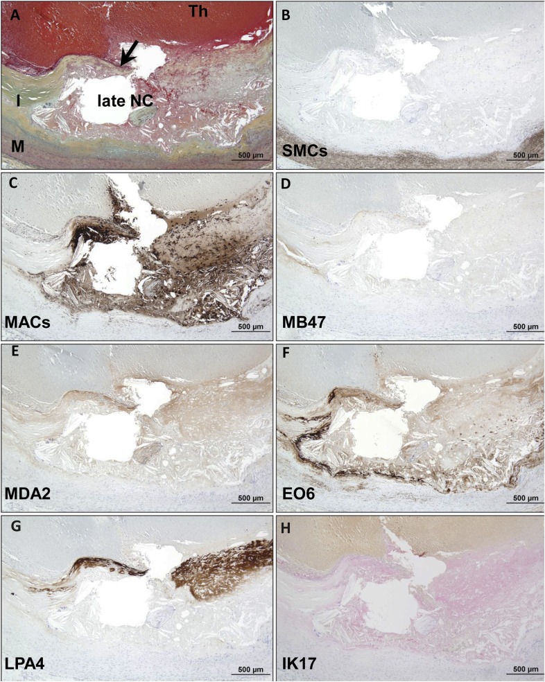 Fig. 7.