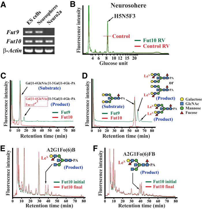 FIGURE 4.