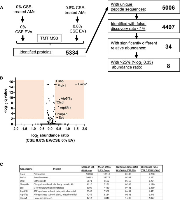 Figure EV3