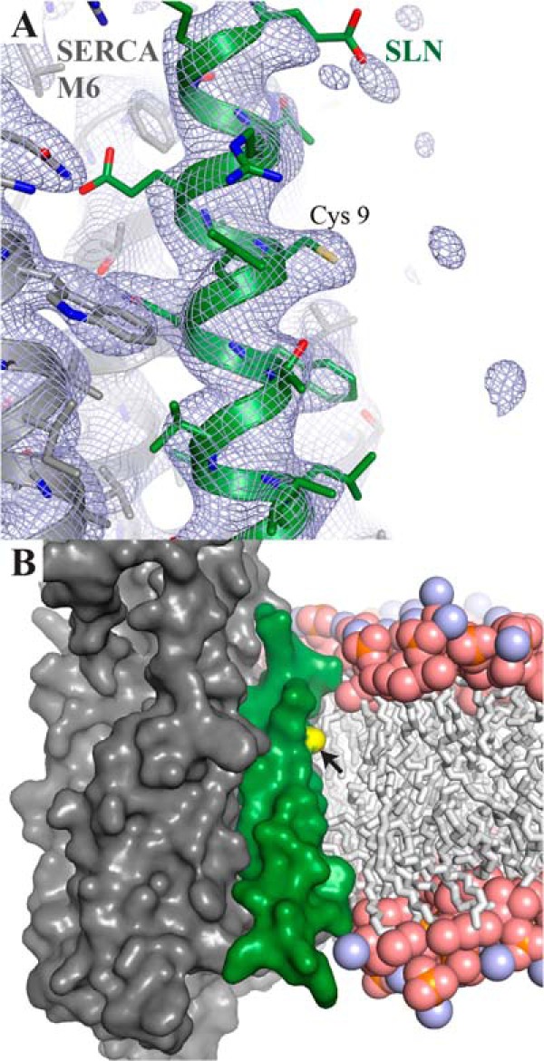 FIGURE 6.