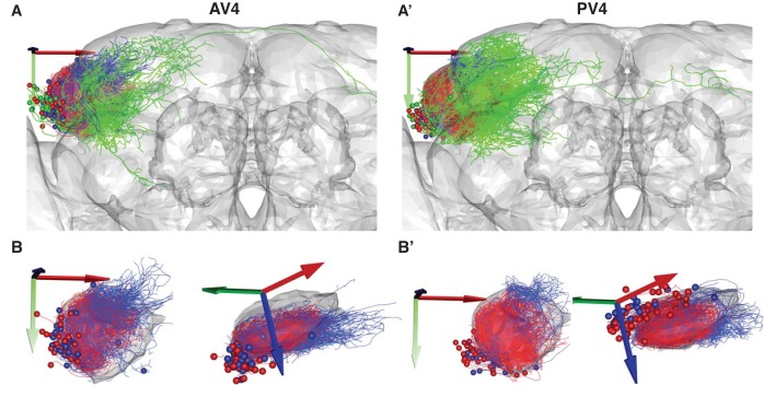 Figure 2—figure supplement 2.