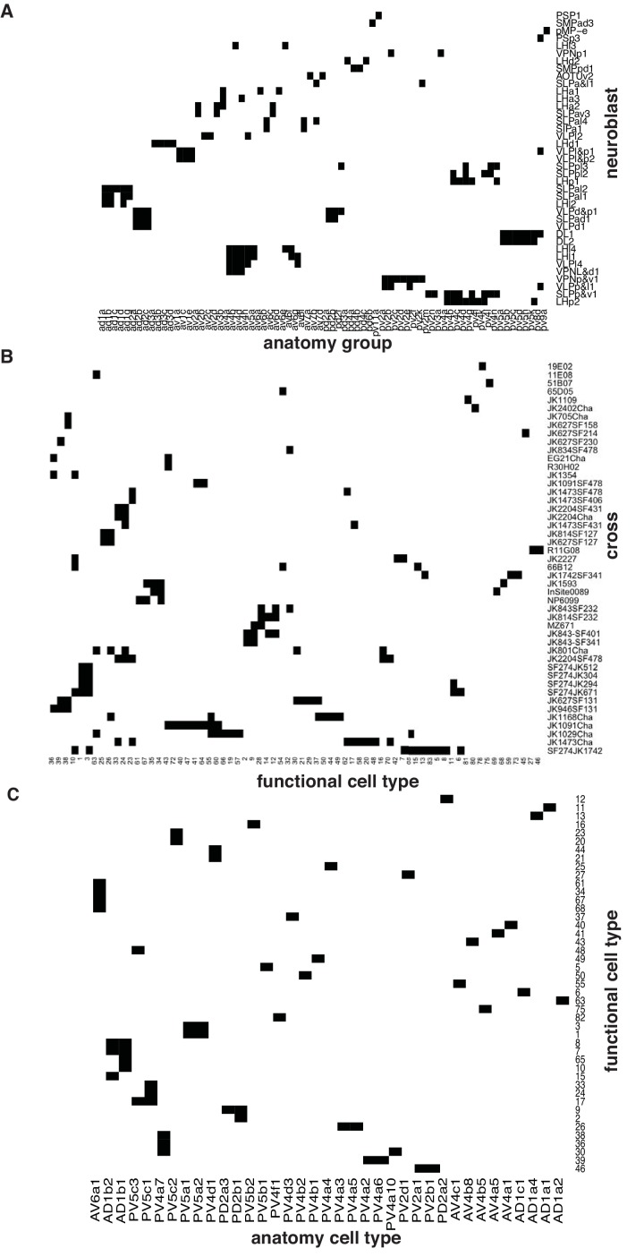 Figure 1—figure supplement 1.