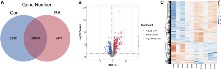 FIGURE 3