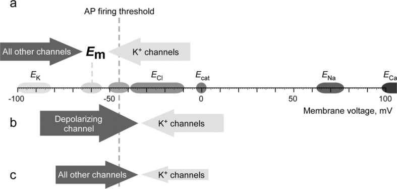 Fig. (1)