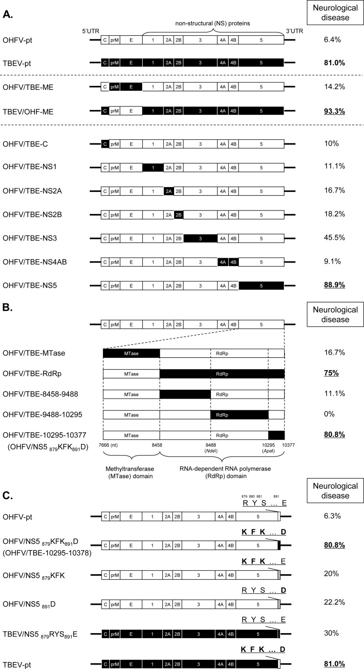 FIG 1