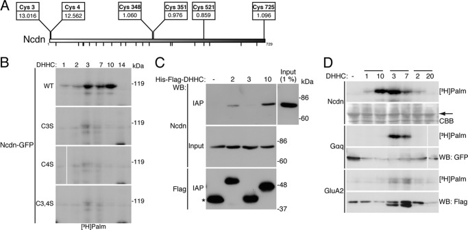 FIGURE 4.