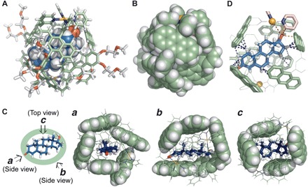 Fig. 3