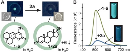 Fig. 6