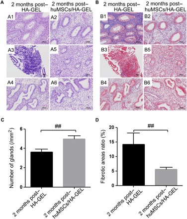 Fig. 2Histological inspection of different interventions.