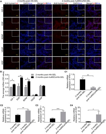 Fig. 6 The expression of cytokines in the endometria.