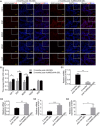 Fig. 6 <b>The expression of cytokines in the endometria.</b>