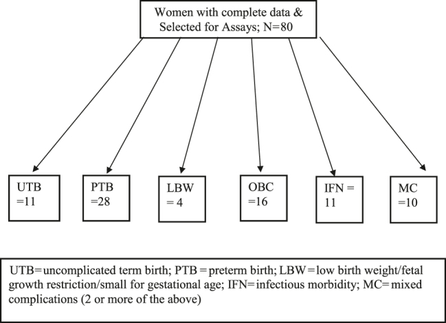 Figure 1: