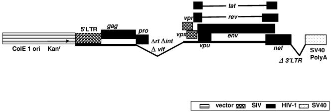 FIG. 1.