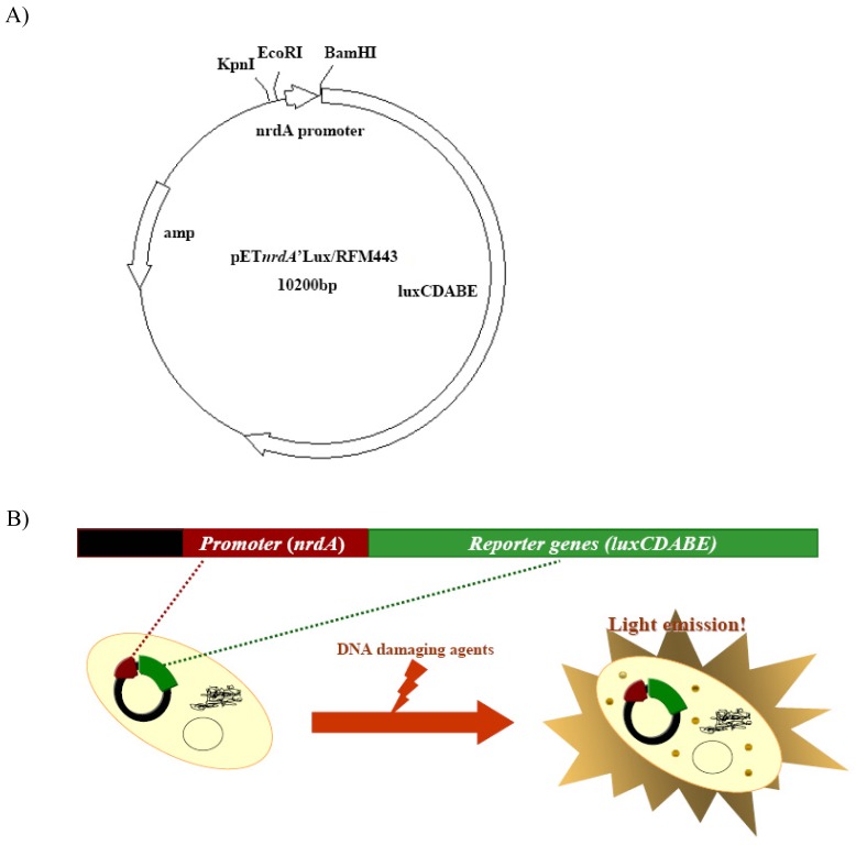 Figure 1.