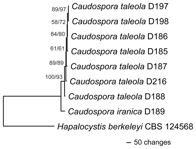 Fig. 2