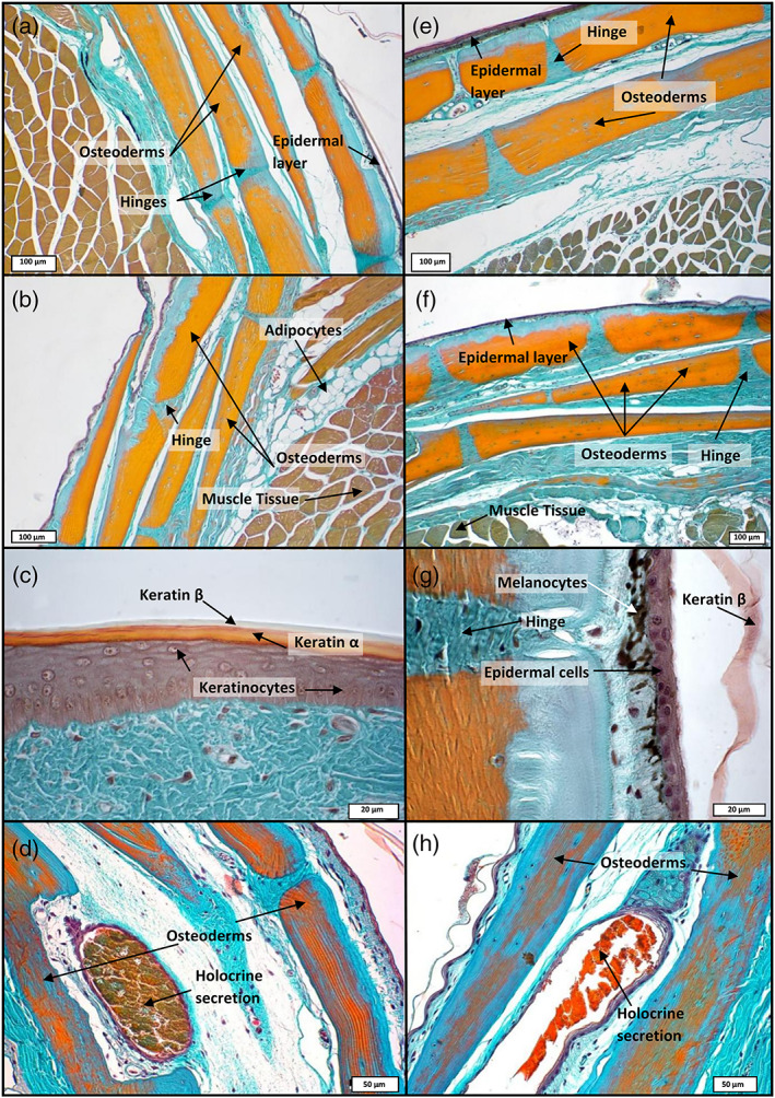 FIGURE 2