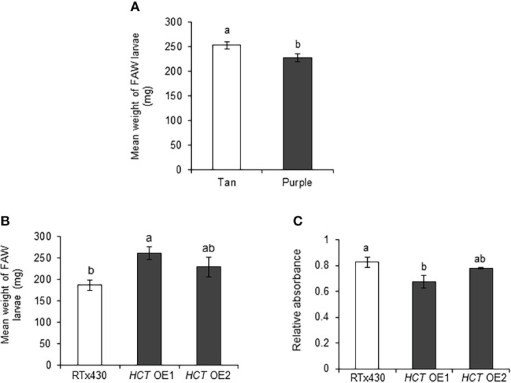 Figure 7