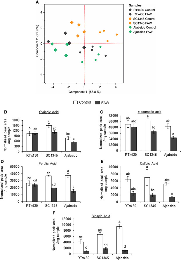 Figure 3