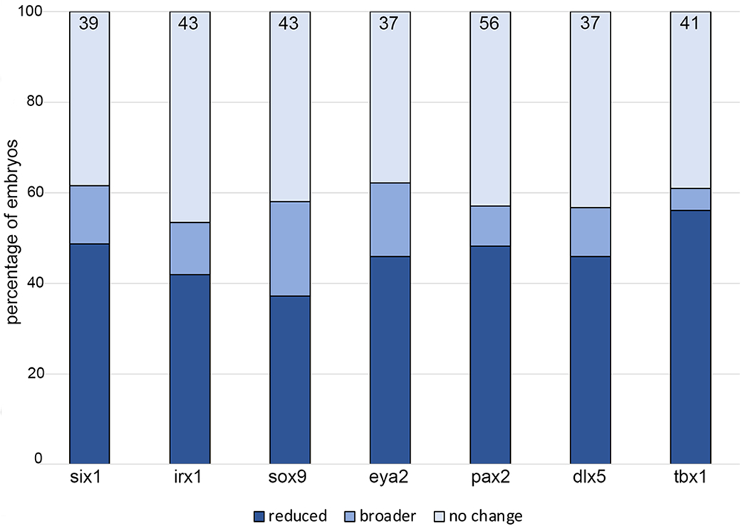 Figure 7: