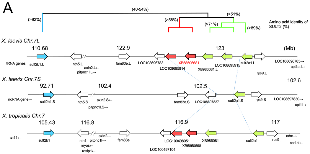 Figure 2: