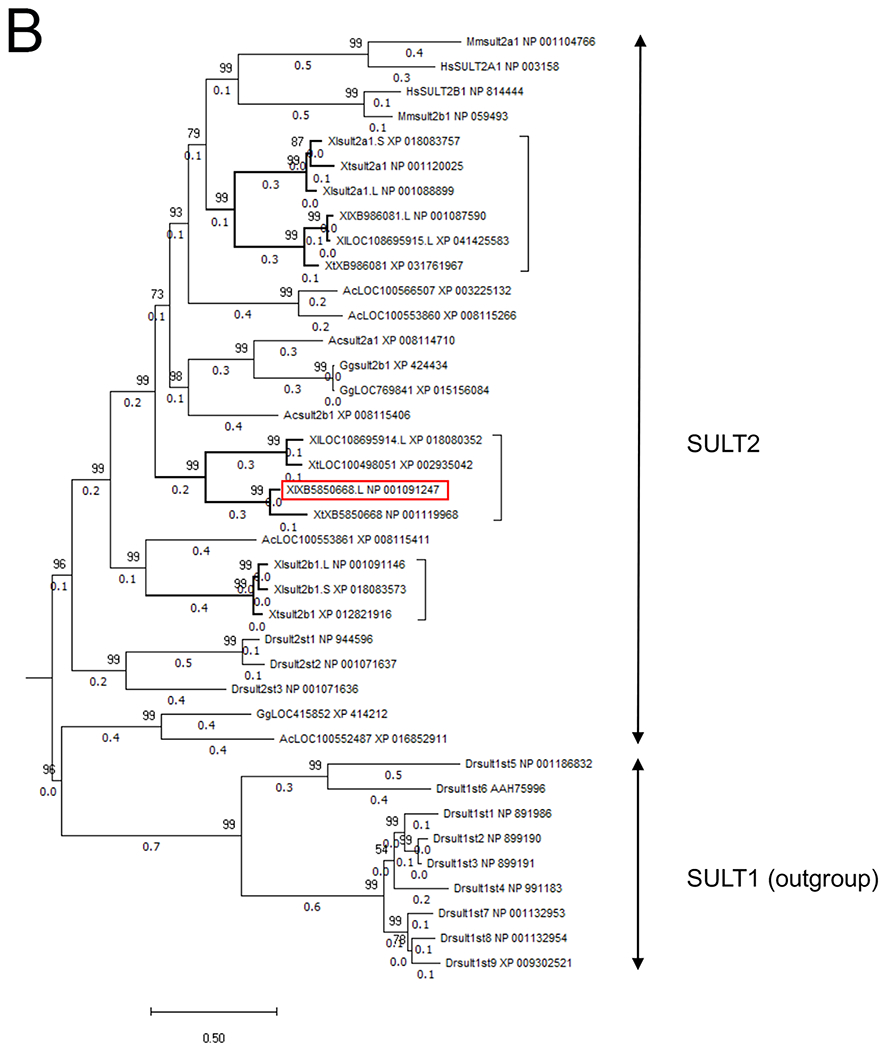 Figure 2: