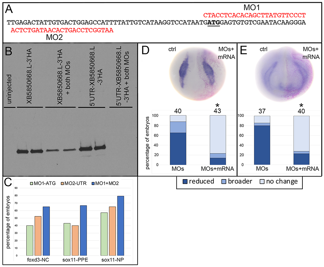 Figure 3: