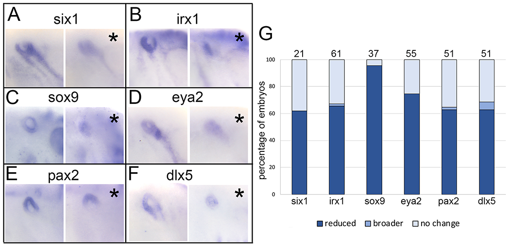 Figure 5: