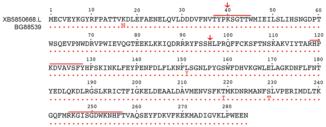 Figure 1: