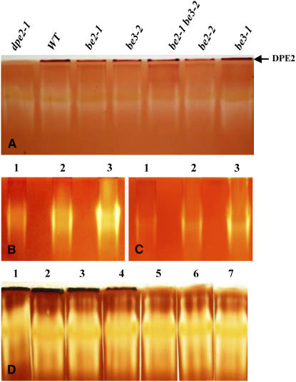 Figure 9.