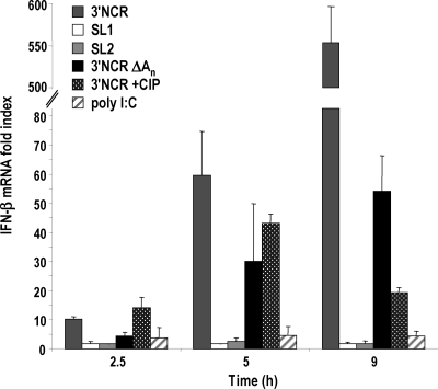 Fig. 2.