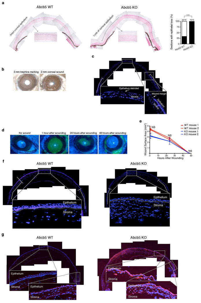 Extended Data Figure 4