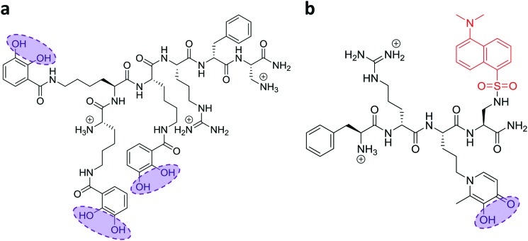 Fig. 2