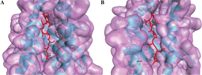 Figure 3: