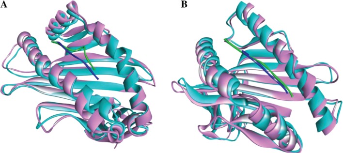 Figure 5: