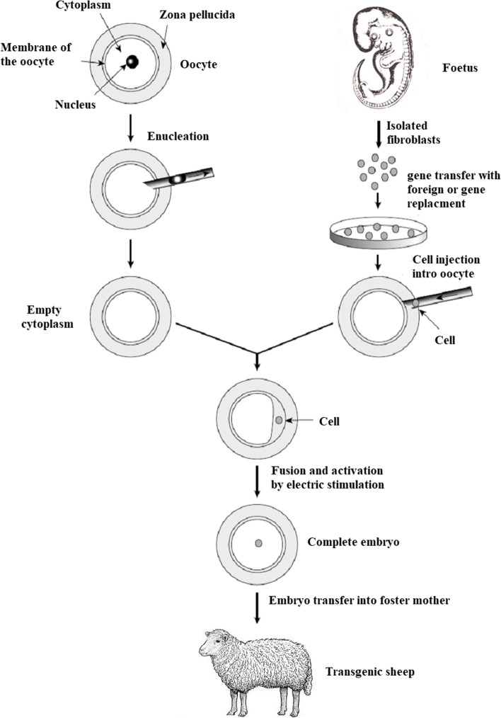 Fig. 8