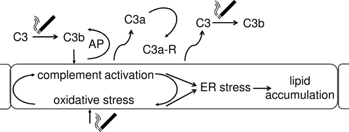 FIGURE 10.