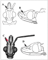FIGURE 3: